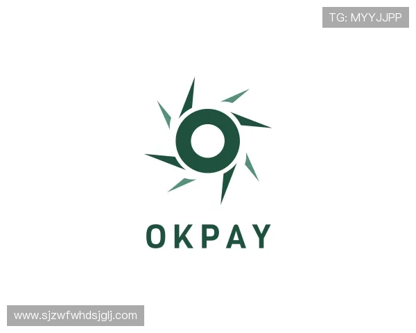 关于OKPAY钱包